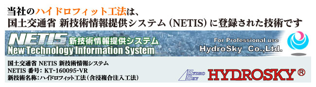 NETIS登録技術バナー